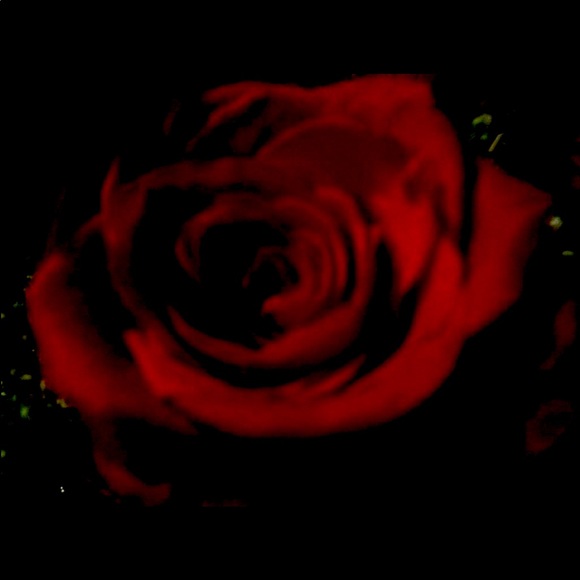 Meet your Posher, Leticia - Picture 1 of 1